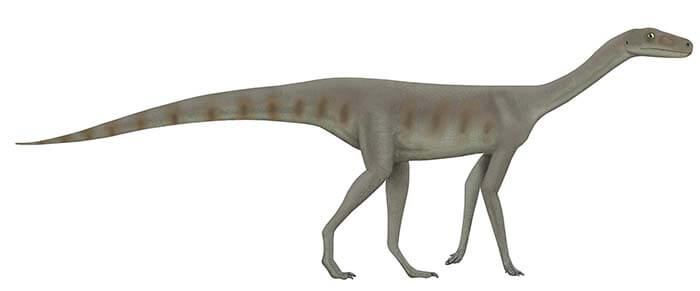 Асилизавр