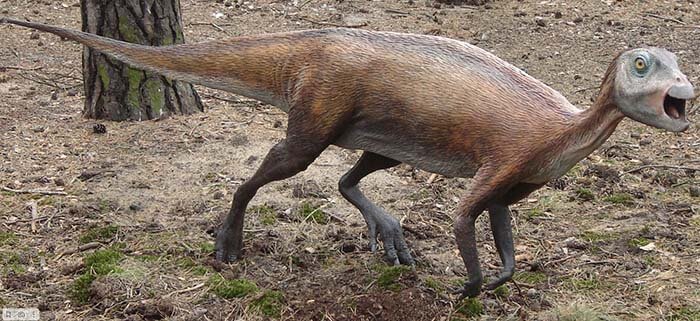 Атласкопкозавр
