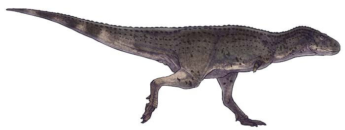 Ауказавр